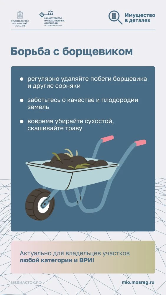 Дача без штрафов: актуальные правила, запреты и советы на сезон