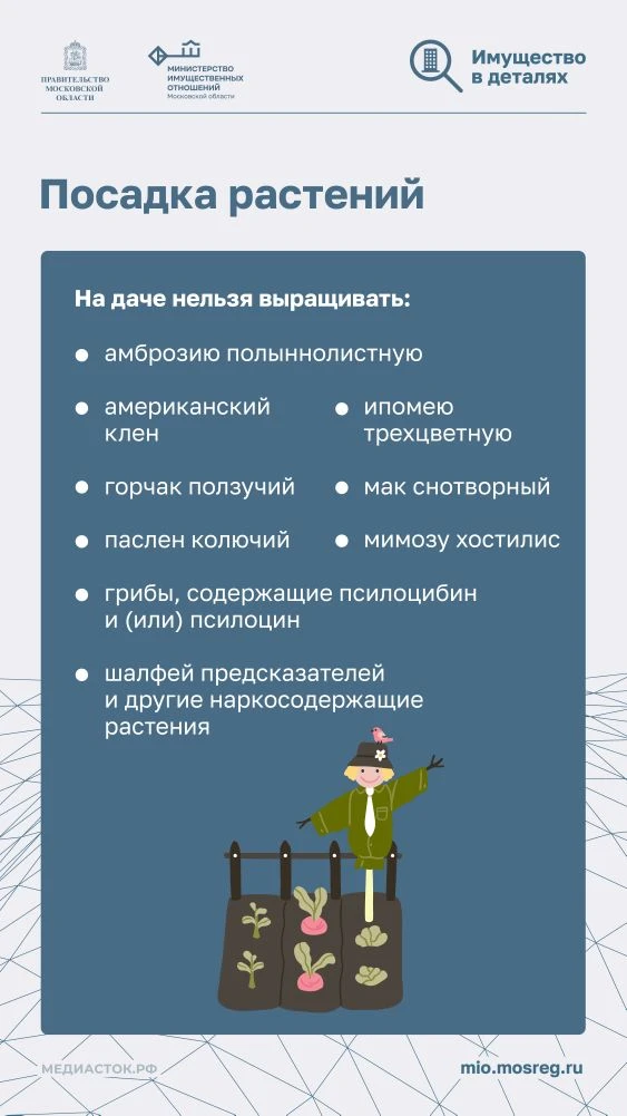 Дача без штрафов: актуальные правила, запреты и советы на сезон