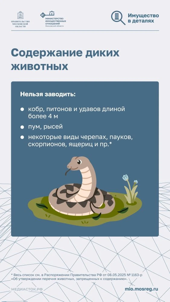 Дача без штрафов: актуальные правила, запреты и советы на сезон