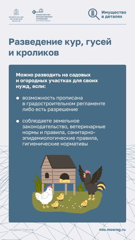 Дача без штрафов: актуальные правила, запреты и советы на сезон