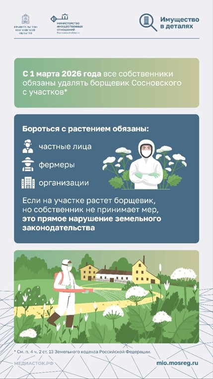 Борщевик — это не просто сорняк!