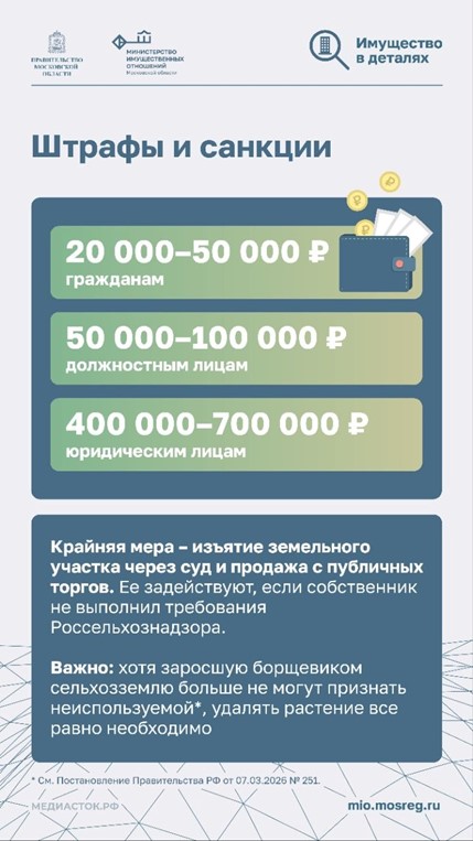 Борщевик — это не просто сорняк!